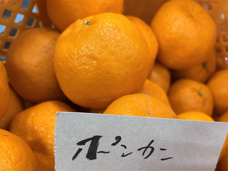 ENAMIFARM CITRUS